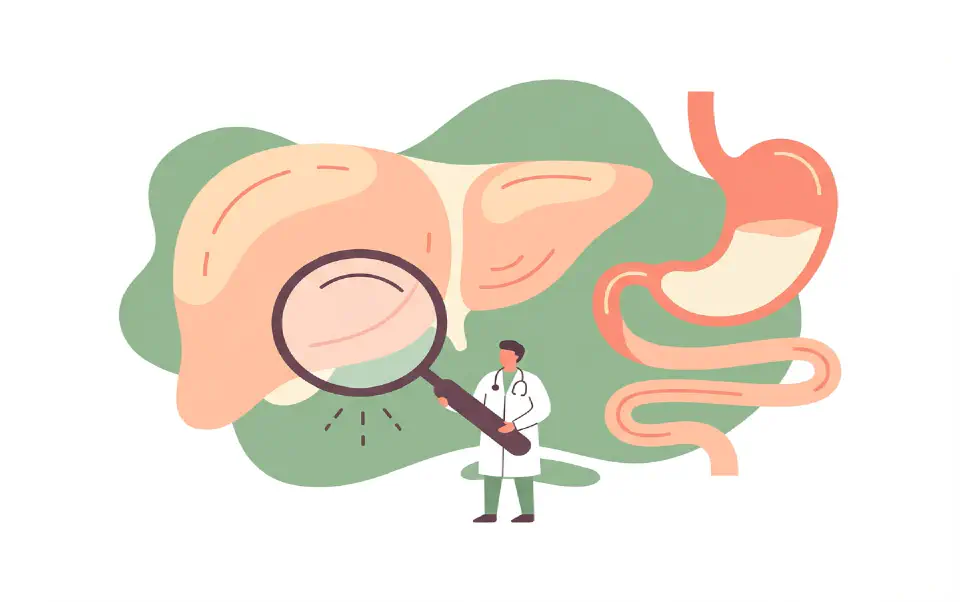 Gastroenterology / Hepatology